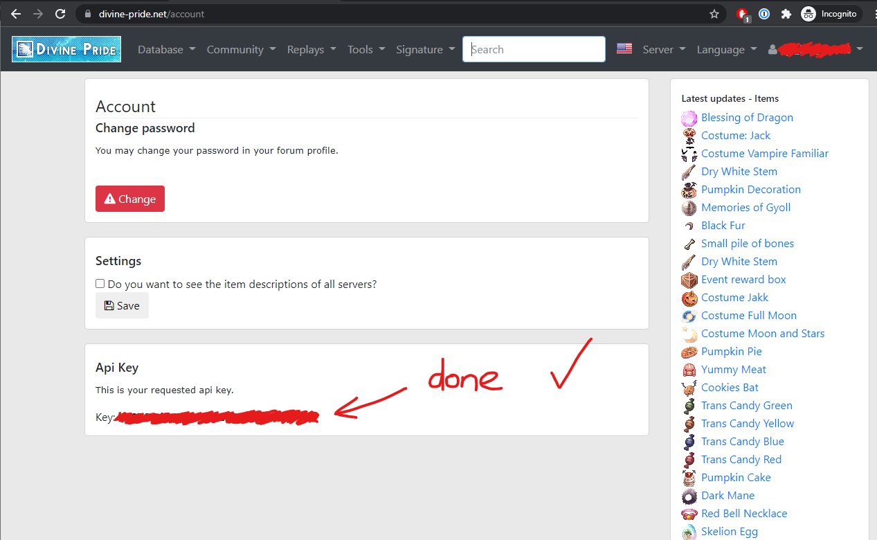 Guide] Getting a Divine Pride API key - Feedback - Divine Pride