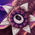 Rp_Ep19_Lesser.png.47284e681aa1270f54b38746f5a7a754.png
