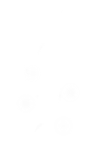 4_point_white.png