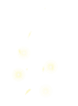 4_point_yellow.png