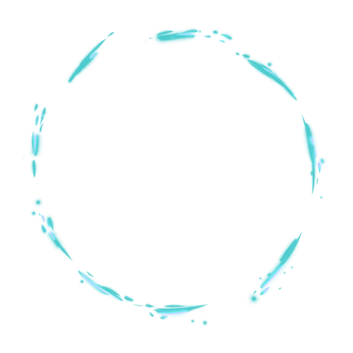 arashiT5.png