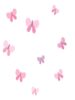 FT_0000023.png