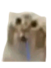 FT_0000076.png