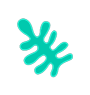 bab_seaweed.png