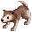 4_desertwolf_b.png