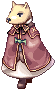 4_dou_jindo.png