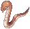 anacondaq.png