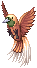 cendrawasih.png