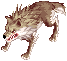 desert_wolf.png
