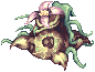 dr_mandragora.png