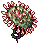 drosera.png
