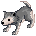 grey_wolf_baby.png