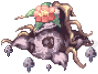 nepenthes.png