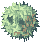 rafflesia.png