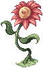 red_flower.png