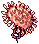 seaanemone.png