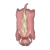 svg_spirit.png