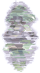 sys_msg.png