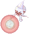 xm_lude.png