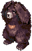 zipper_bear.png