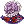 ZTW_Bd_DRACULA.png