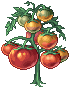 2_CLB_K_2.png
