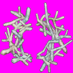 issgard_s_49.png