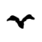halbat1.png