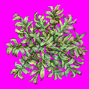 abyss_s_04.png