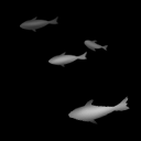 fish_y_02.png