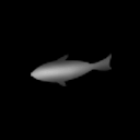 fish_y_03.png