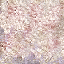 wd_coralrepl.png