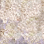 trea-coral1.png