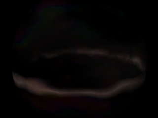 ring24.png