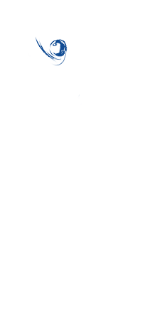 2lostwin09.png