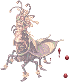 ILL_MAYA.png