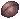 Shell_Of_Cognition.png