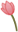 flo_flower_04.png