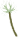 flo_bloom_06.png