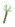 flo_bloom_07.png