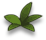 flo_leaf_d.png
