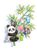 C_Panda_Bamboo.png