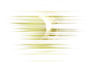 moo_ripple_01.png