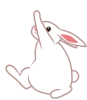 rab_rabbit_01.png