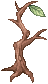 4_CH1_BRANCH.png