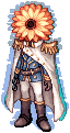 CH1_CALENDULA.png