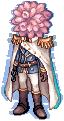 CH1_SCABIOSA.png