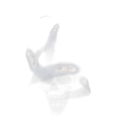 CH1_SHADIEST_bullet.png