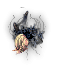 CH1_SILK_SNAIL.png