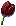 Ch1_Black_Tulip.png